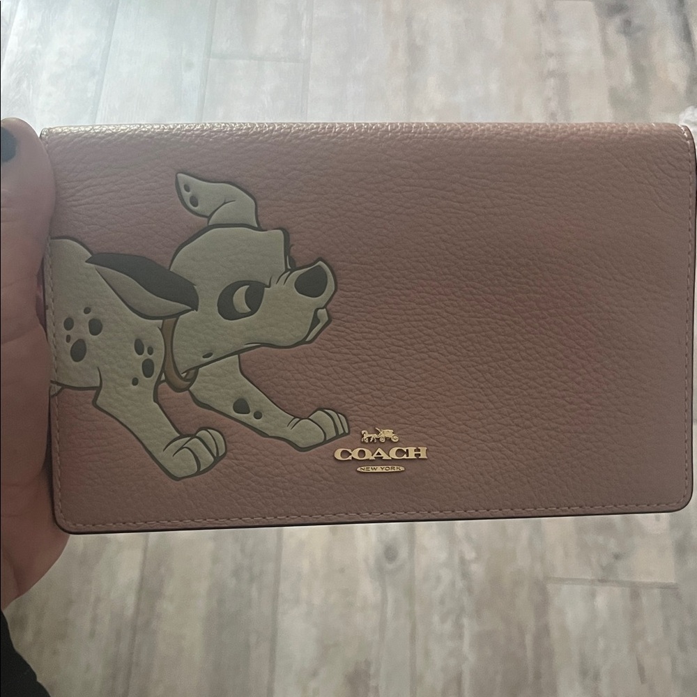 Coach x Disney
